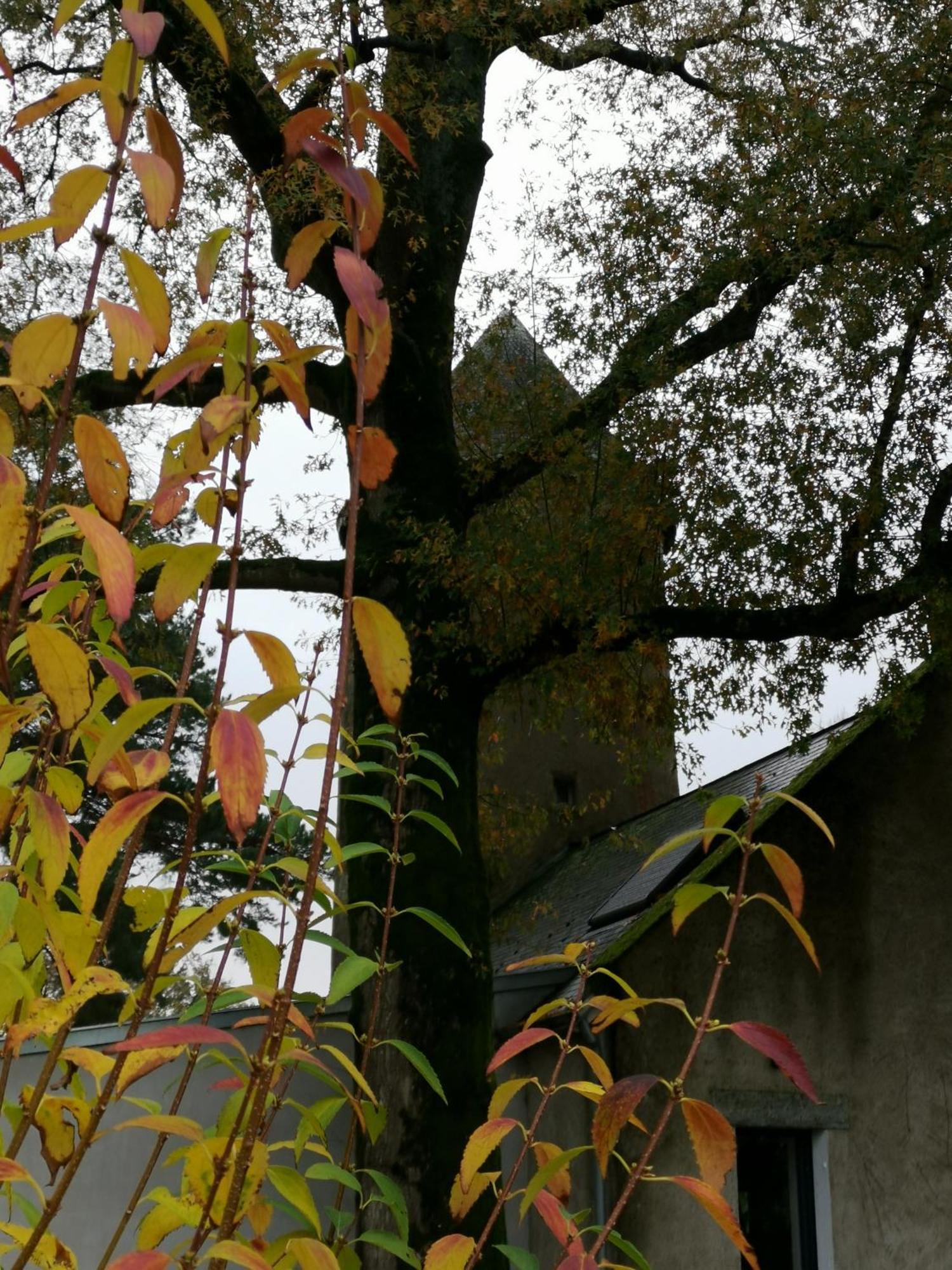 Le Moulin De La Retardiere ออร์โวลต์ ภายนอก รูปภาพ