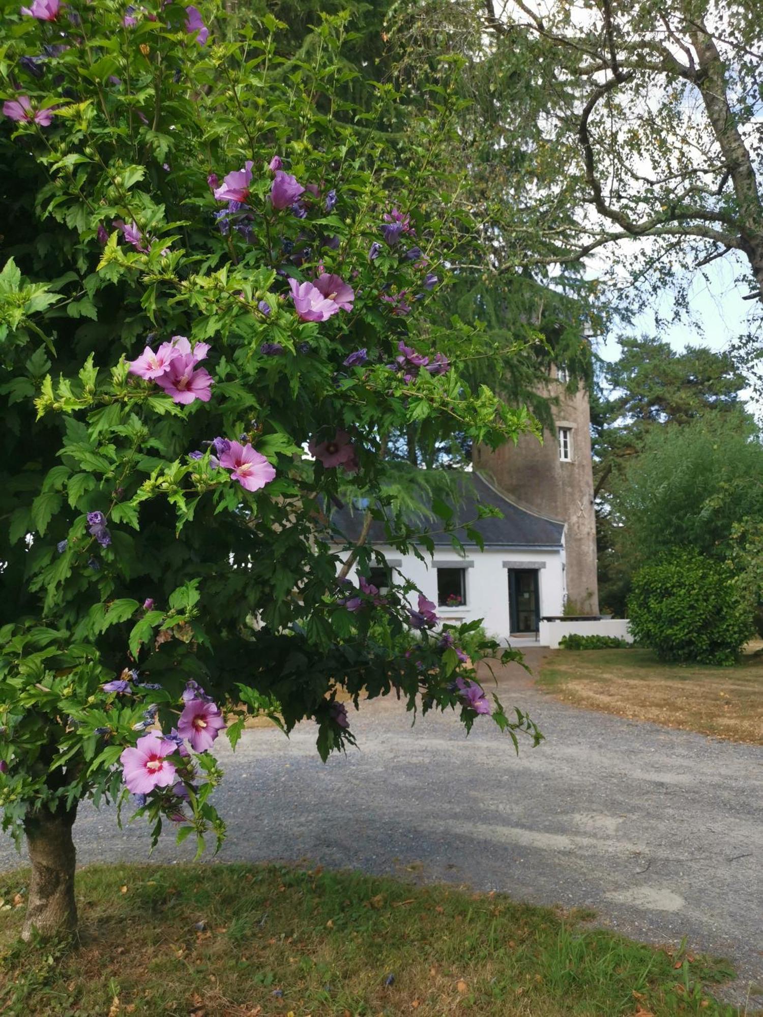 Le Moulin De La Retardiere ออร์โวลต์ ภายนอก รูปภาพ