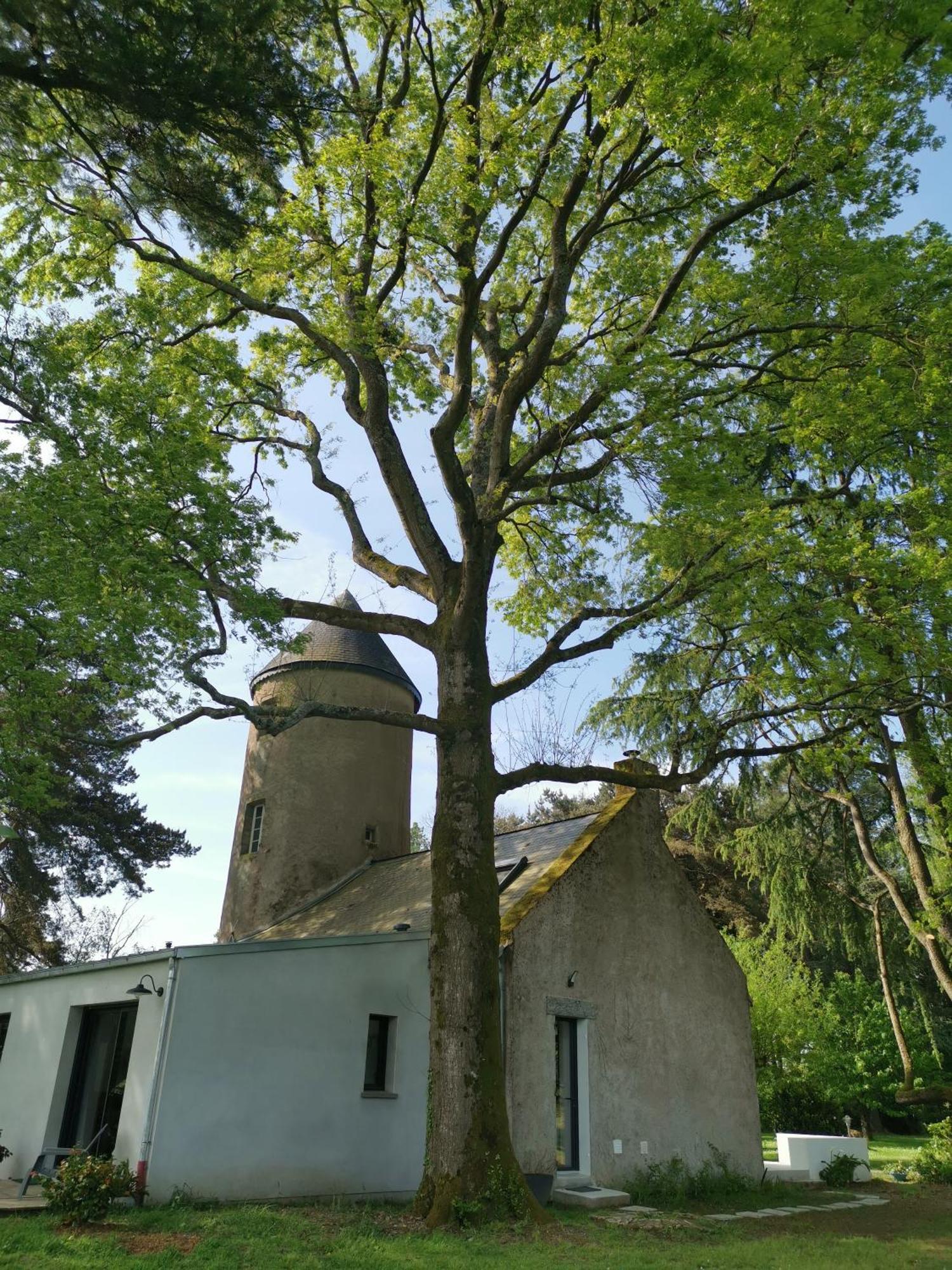 Le Moulin De La Retardiere ออร์โวลต์ ภายนอก รูปภาพ